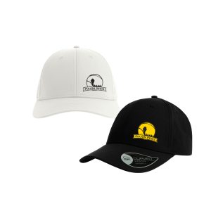 Puijon Pesis - lippis