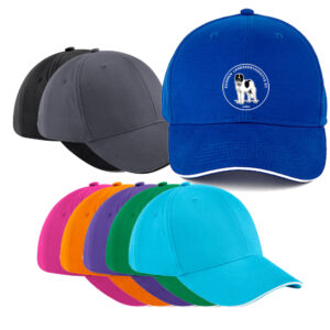 Suomen Landseeryhdistys - lippis