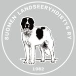 Koira, valkoiset yksityiskohdat