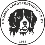 Silhuetti, mustat yksityiskohdat